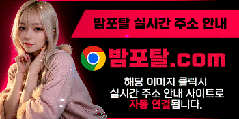 밤포탈